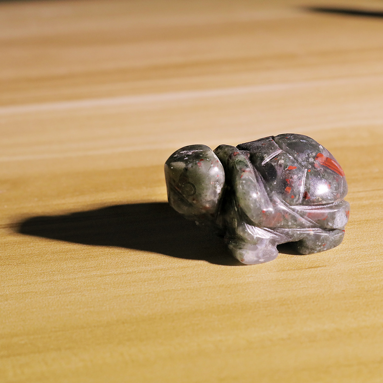 Small Animal Tortoise 1Each