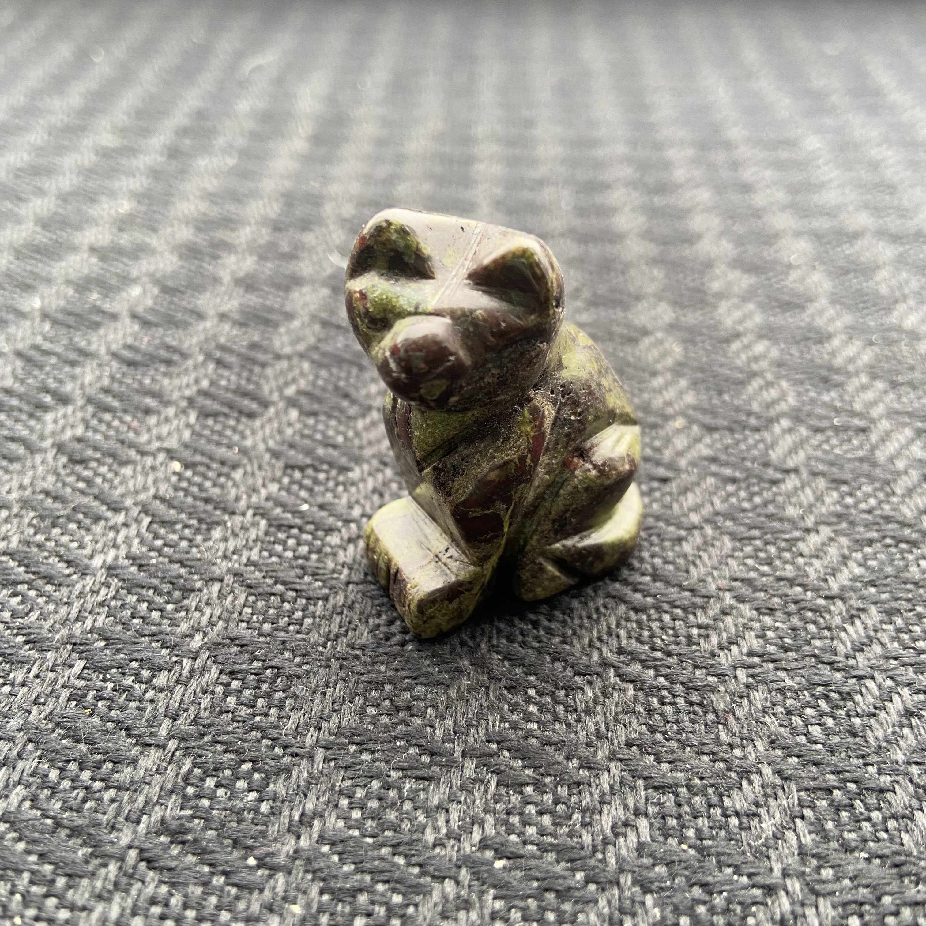 Small Animal Cat 1Each