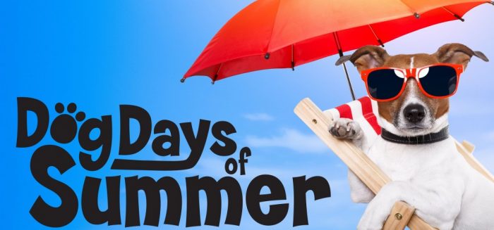 Dog Days of Summer | Clear Lake, Iowa | Chamber of Commerce