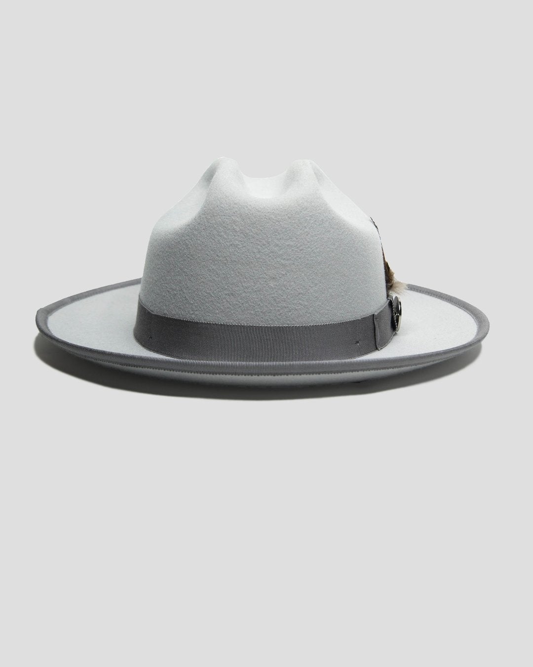 ERCISUS Fedora