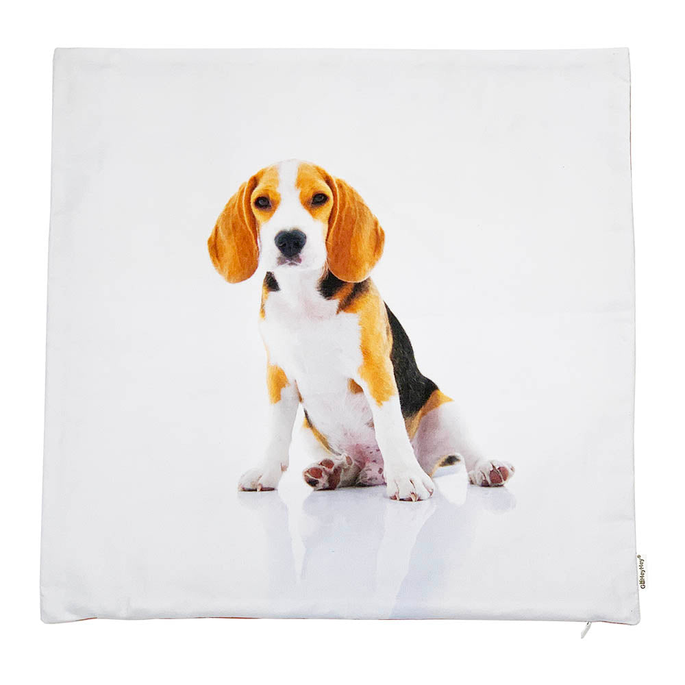 Pet Theme Decorative Pillow / Cushion 16" x 16" (41cm x 41cm)-GoHeyHey Design Store