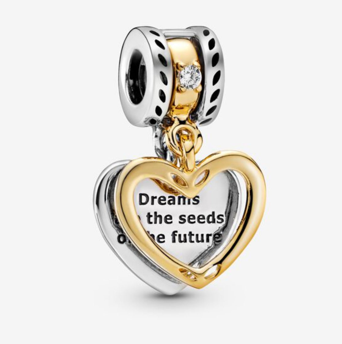 Seeds of the Future Split Heart Dangle Charm