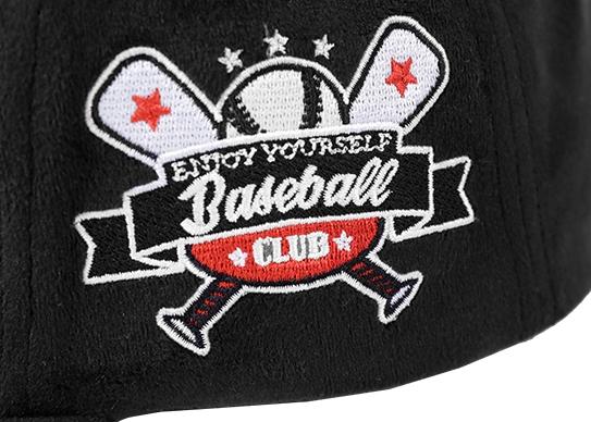 embroidered snapback