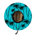 coconut tree4
