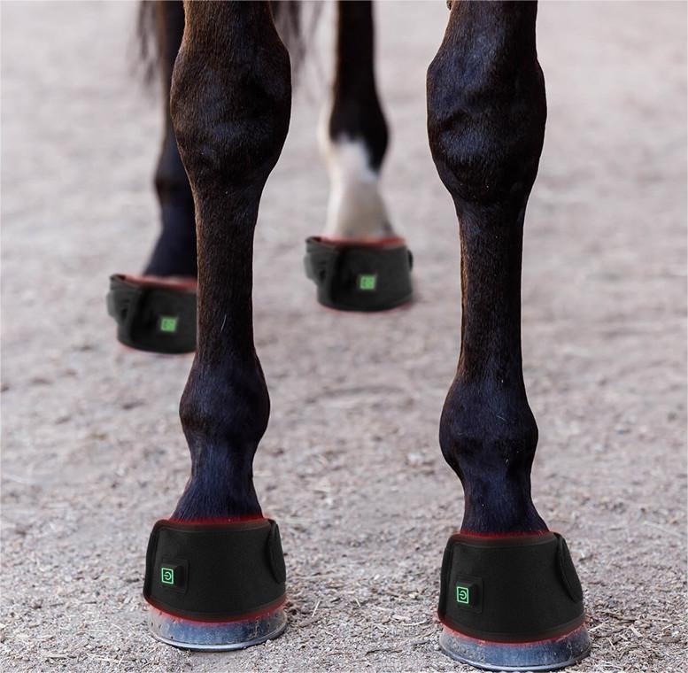 Red Light Therapy for Dogs Arthritis Pain Relief at Home-KTS HEALTHCARE