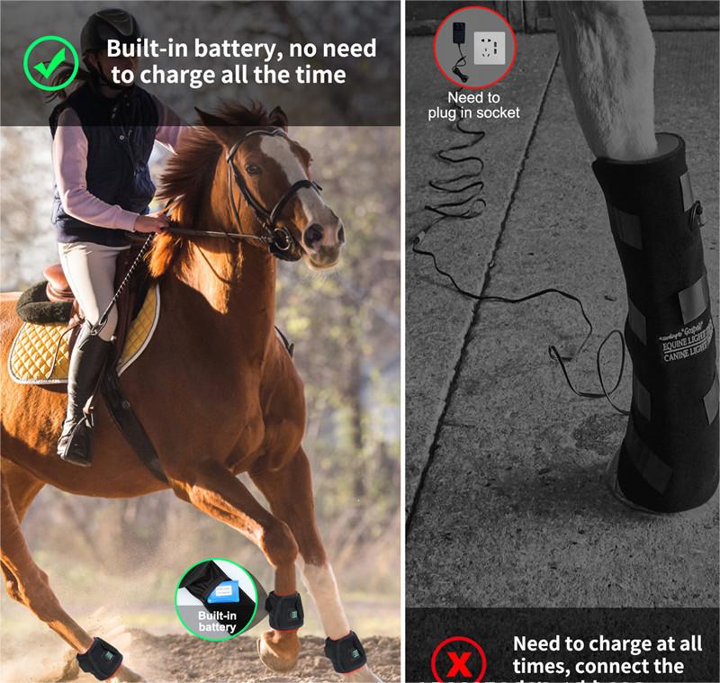 Red Light Therapy for Dogs Arthritis Pain Relief at Home