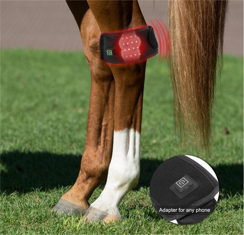Red Light Therapy for Dogs Arthritis Pain Relief at Home-KTS HEALTHCARE