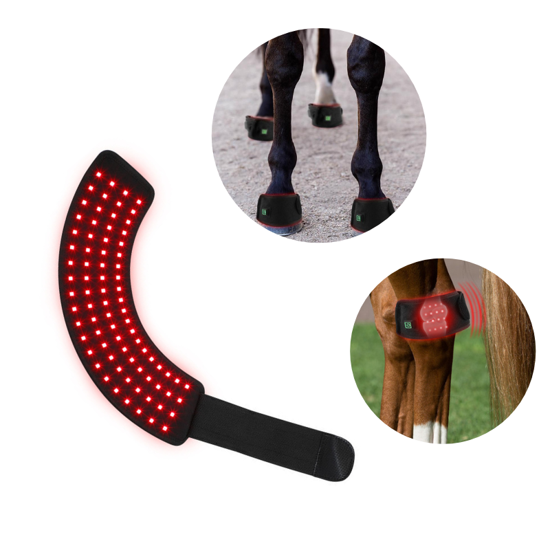 Red Light Therapy Strap for Horse Arthritis Pain Relief 