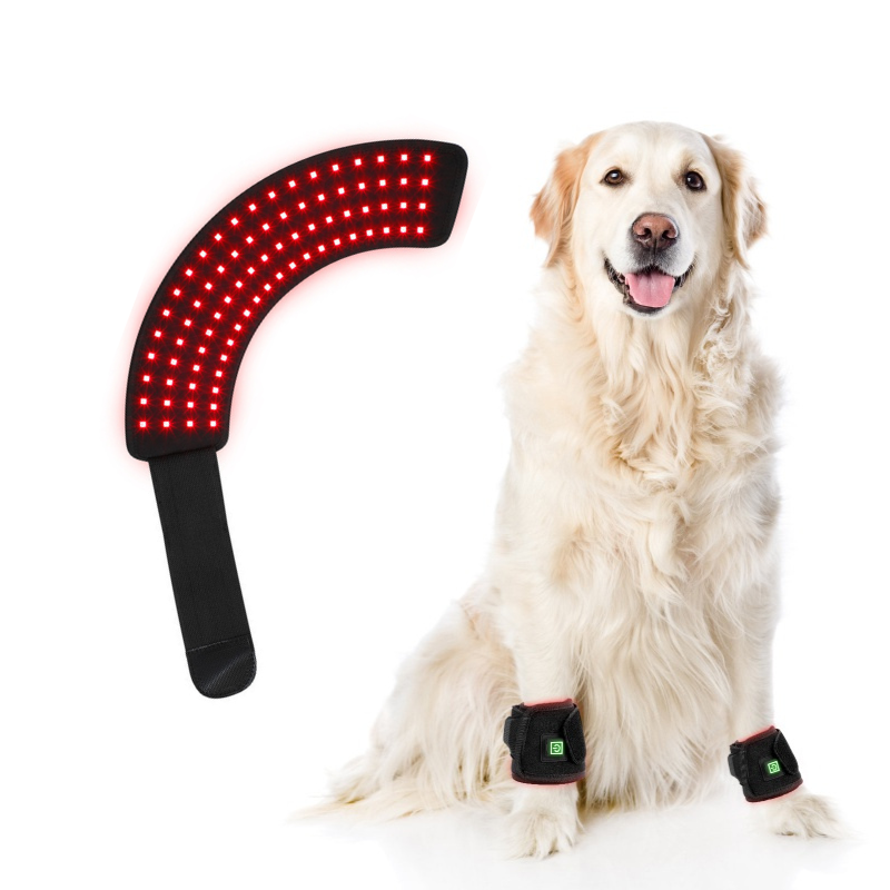 Red Light Therapy for Dogs Arthritis Pain Relief at Home