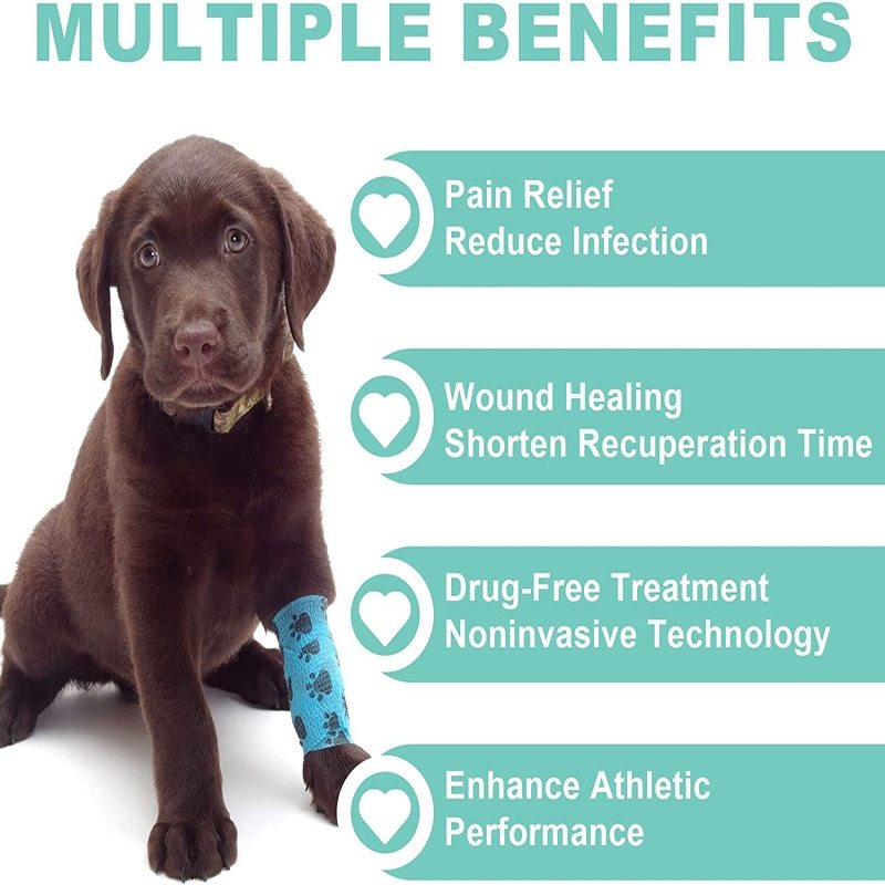 KTS Cold Laser Therapy Vet Device for Pets Pain Relief At Home-KTS HEALTHCARE