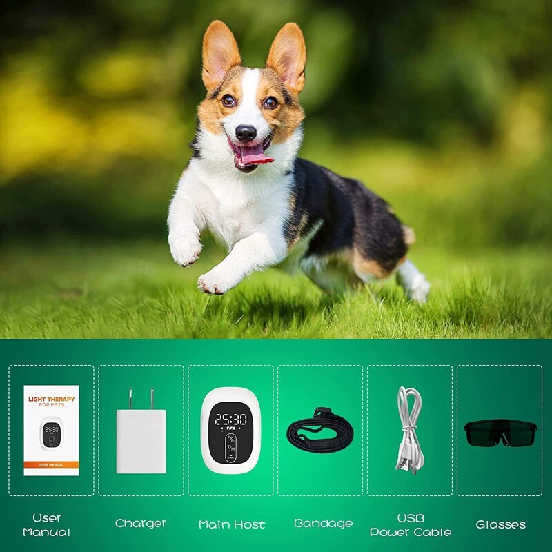 KTS Cold Laser Therapy Device for Pet and Animal Pain Relief Muscle Joint Pain Arthritis Heal Wounds Clear Skin Infections-KTS HEALTHCARE