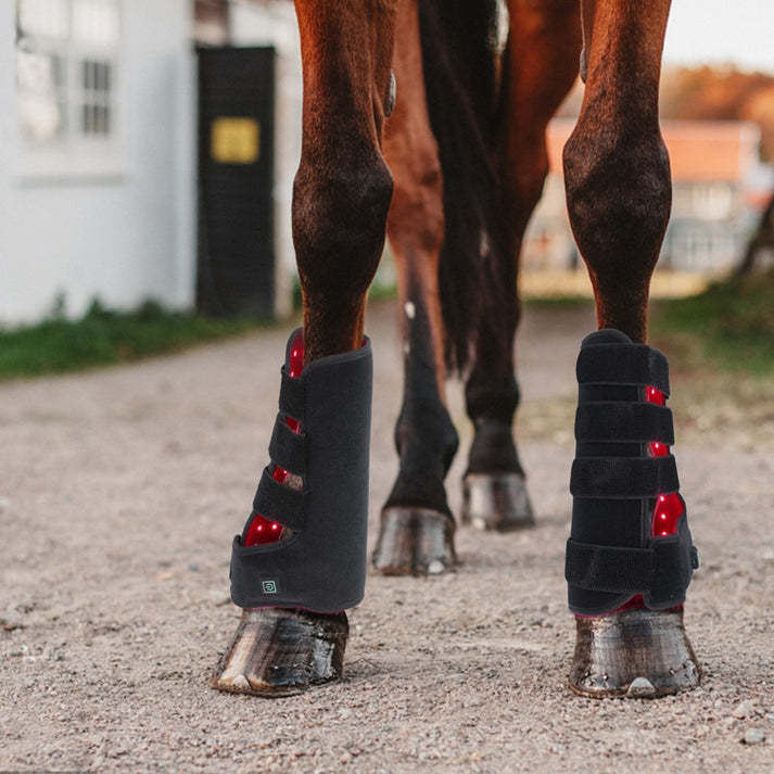 Red Light Therapy Pad for Horses Pain Relief-KTS HEALTHCARE