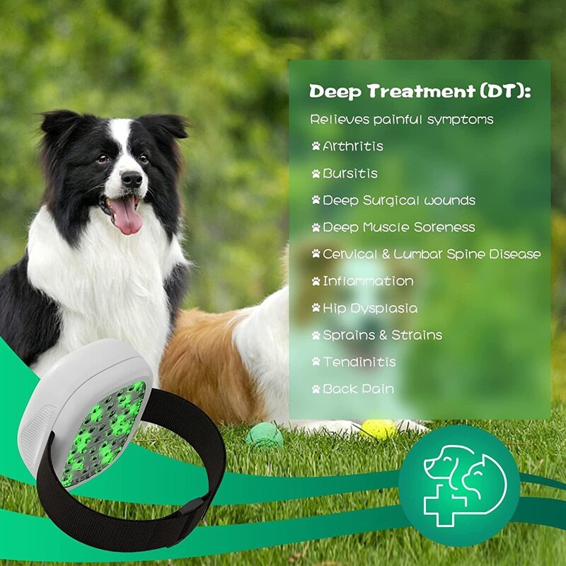 KTS Cold Laser Therapy Device for Pet and Animal Pain Relief Muscle Joint Pain Arthritis Heal Wounds Clear Skin Infections-KTS HEALTHCARE