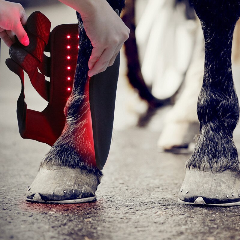 Red Light Therapy Pad for Horses Pain Relief-KTS HEALTHCARE