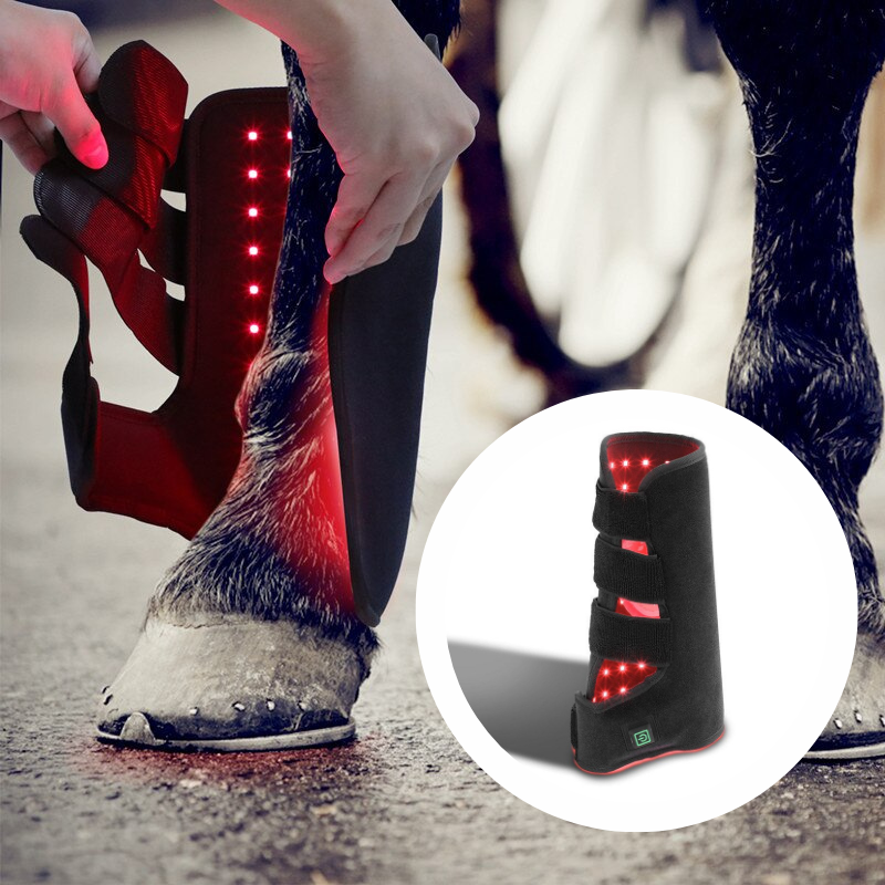Red Light Therapy Pad for Horses Pain Relief