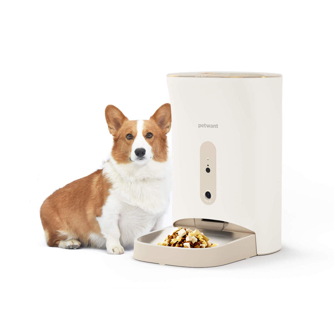 Pet Feeder with Camera Petwant F11C 4.5L Automatic Pet Feeders