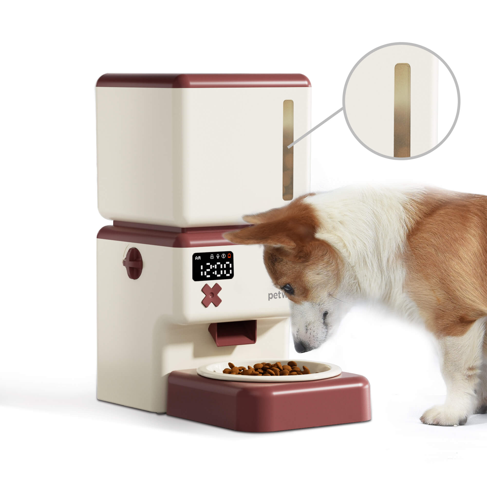 Best Automatic Dog Feeders 2023 - Forbes Vetted