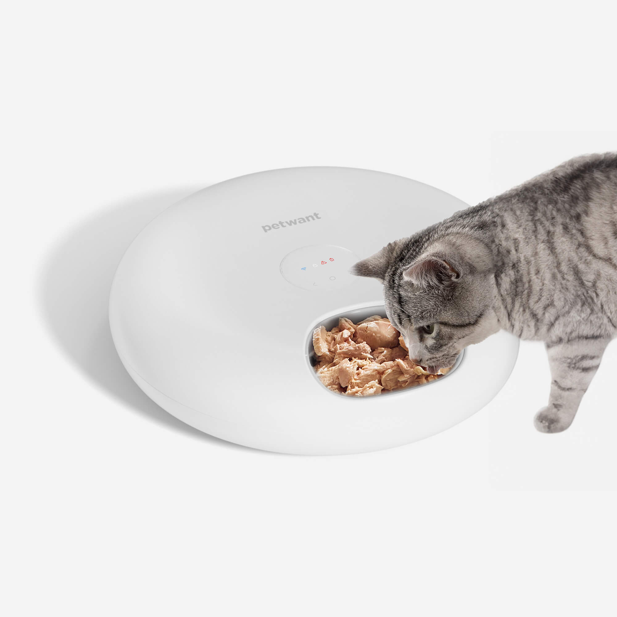 Petwant wifi discount smart pet feeder