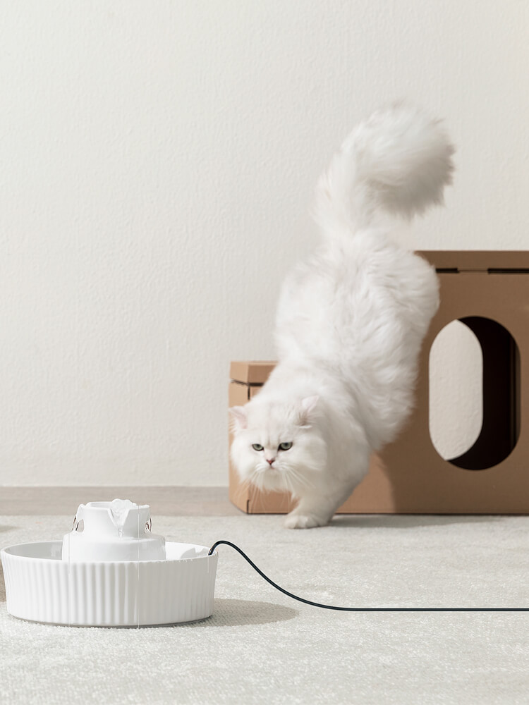 The Benefits of Interactive Toys for Cats--Petwant