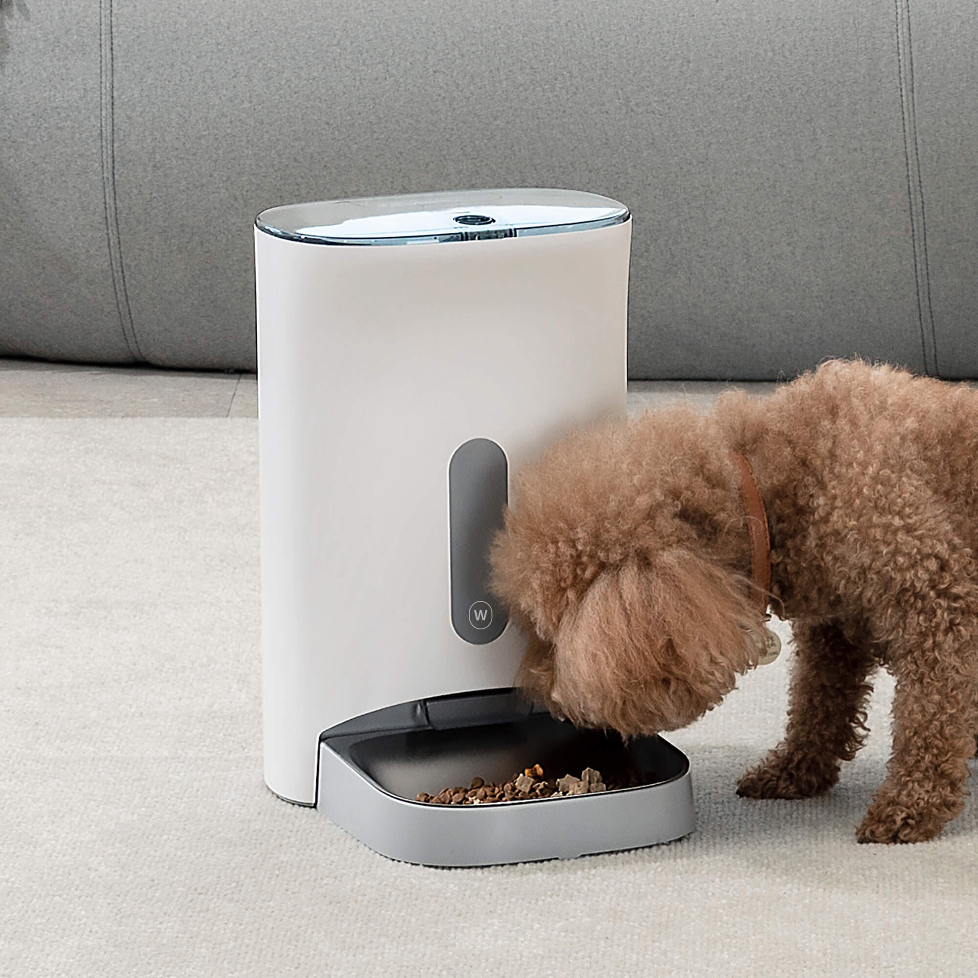 https://img-va.myshopline.com/image/store/2003895367/1671778301279/petwant-4-5L-pet-food-dispenser.jpeg?w=2000&h=2000