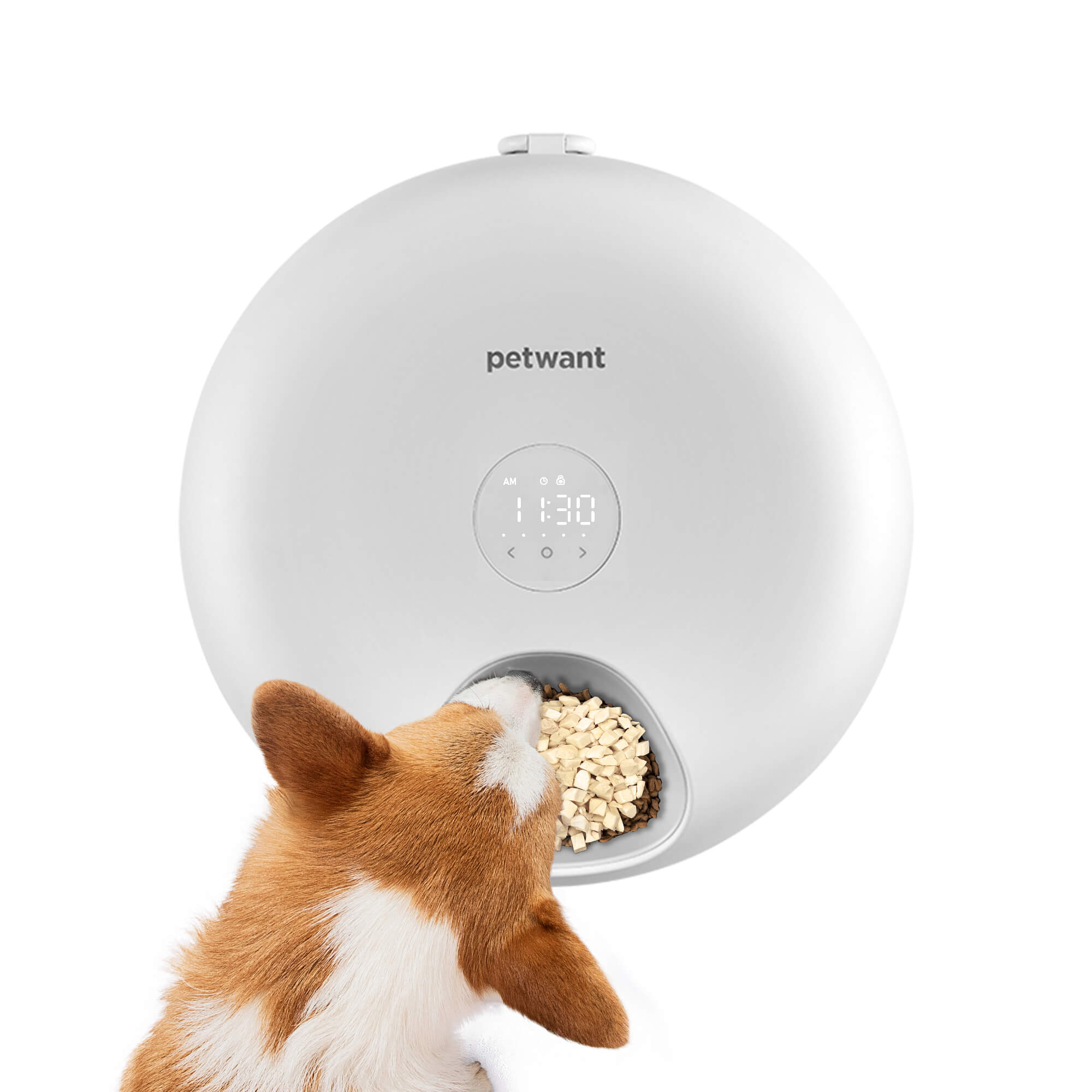 Petwant F13 L Automatic Pet Feeder 6 Meals Intelligent Dispenser Suitable for Dry and Wet Grains Timed LED Screen Keep Food Fresh