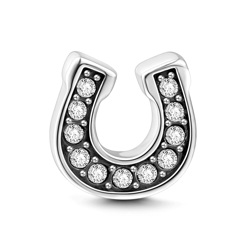 Horseshoe Shaped Locket Charm - soufeelus