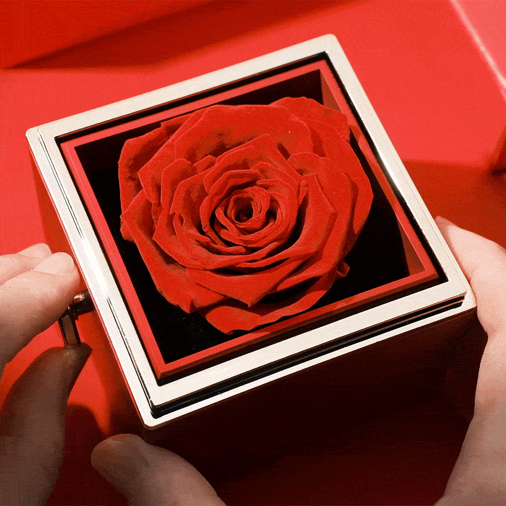 Eternal Rose Box & Photo Projection Couple Bracelet Braided Black Rope Bracelet Gift For Lovers - soufeelus