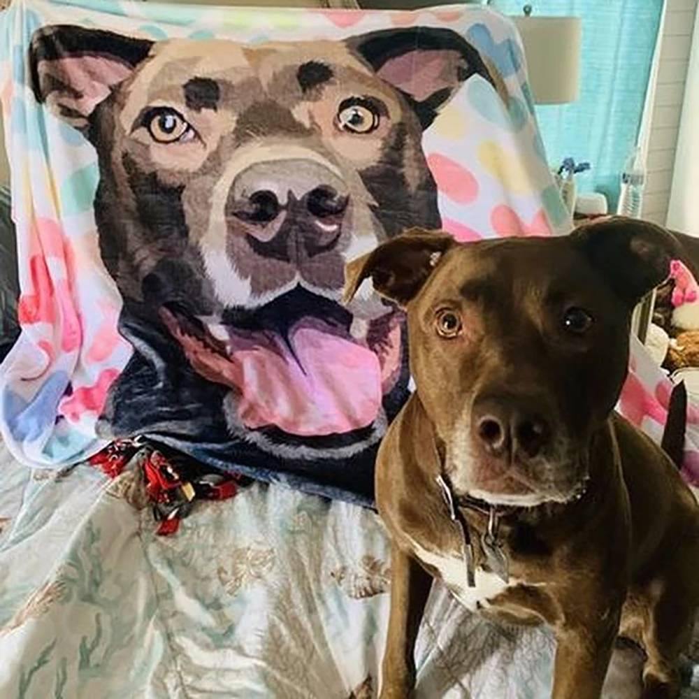 Custom Photo Dog Blanket Pet Photo Blanket Painted Art Portrait Fleece Blanket - soufeelus