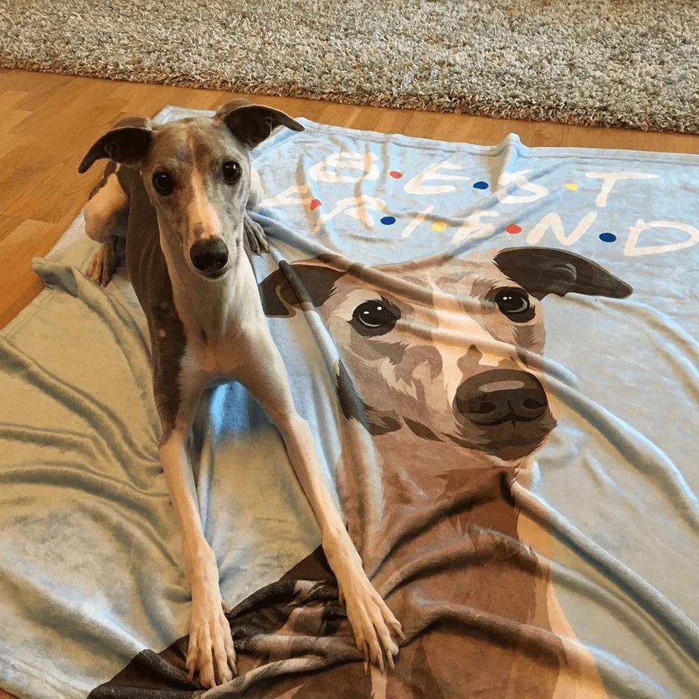 Custom Dog Blankets Personalized Pet Photo Blankets with Engraving Painted Art Portrait Fleece Blanket - soufeelus