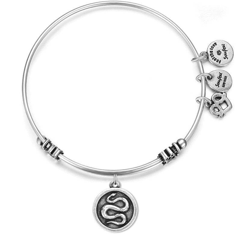 Snake Charm Bangle - soufeelus