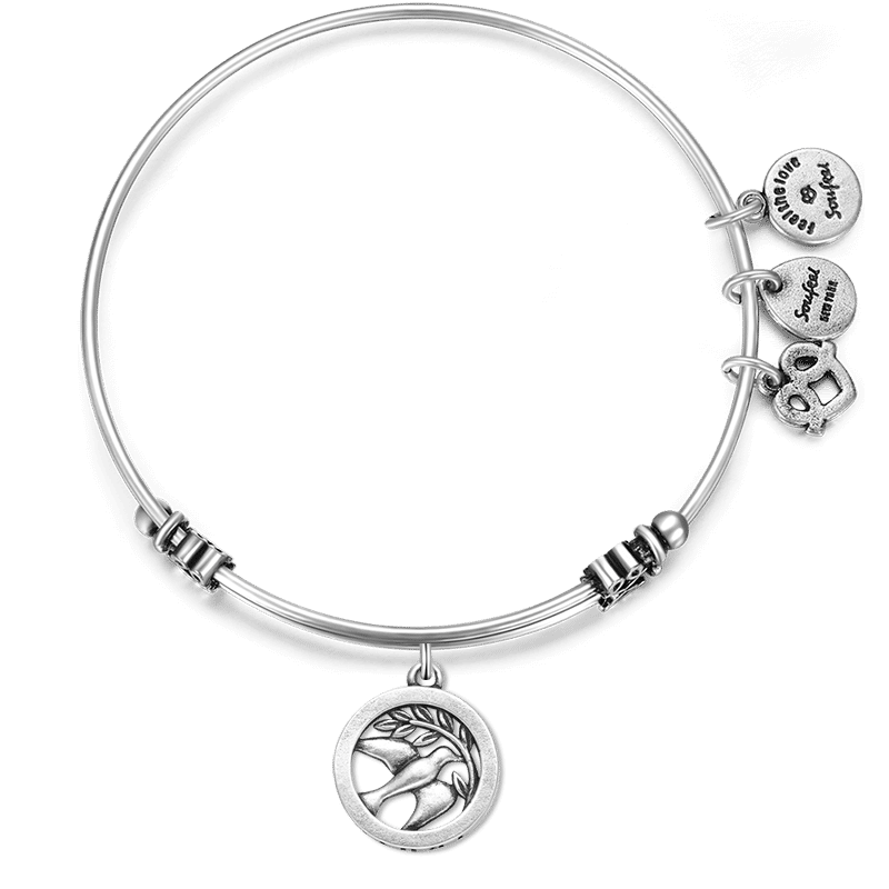 Truth Charm Bangle - soufeelus