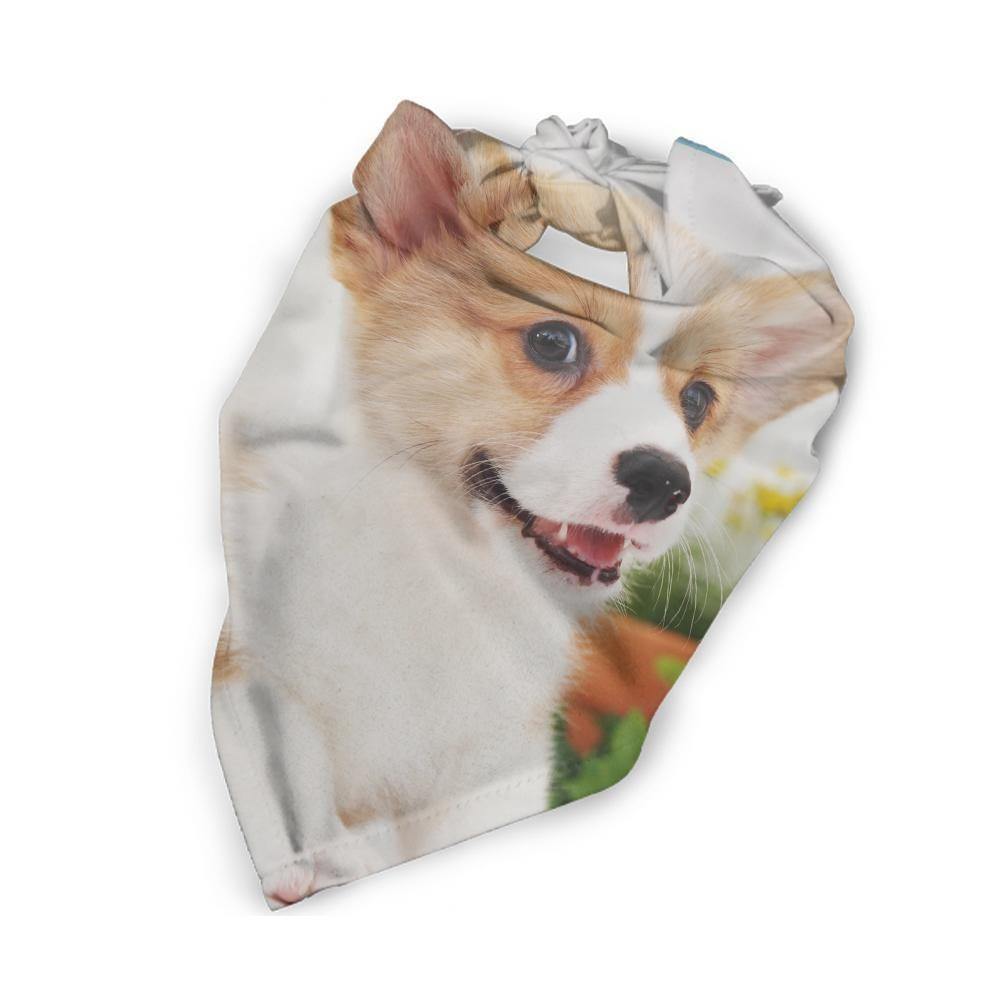 Personalised Dog Bandana Soft Pet Flannel Bandana, Animal Neckwear, Dog Scarf - soufeelus