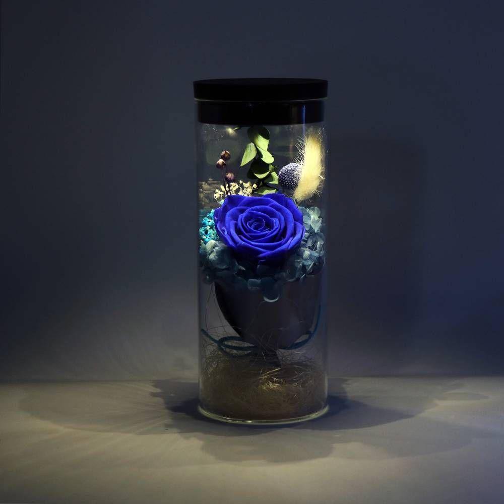 Night Lamp, LED Bottle Lamp Touch Light - Blue Enchantress - soufeelus