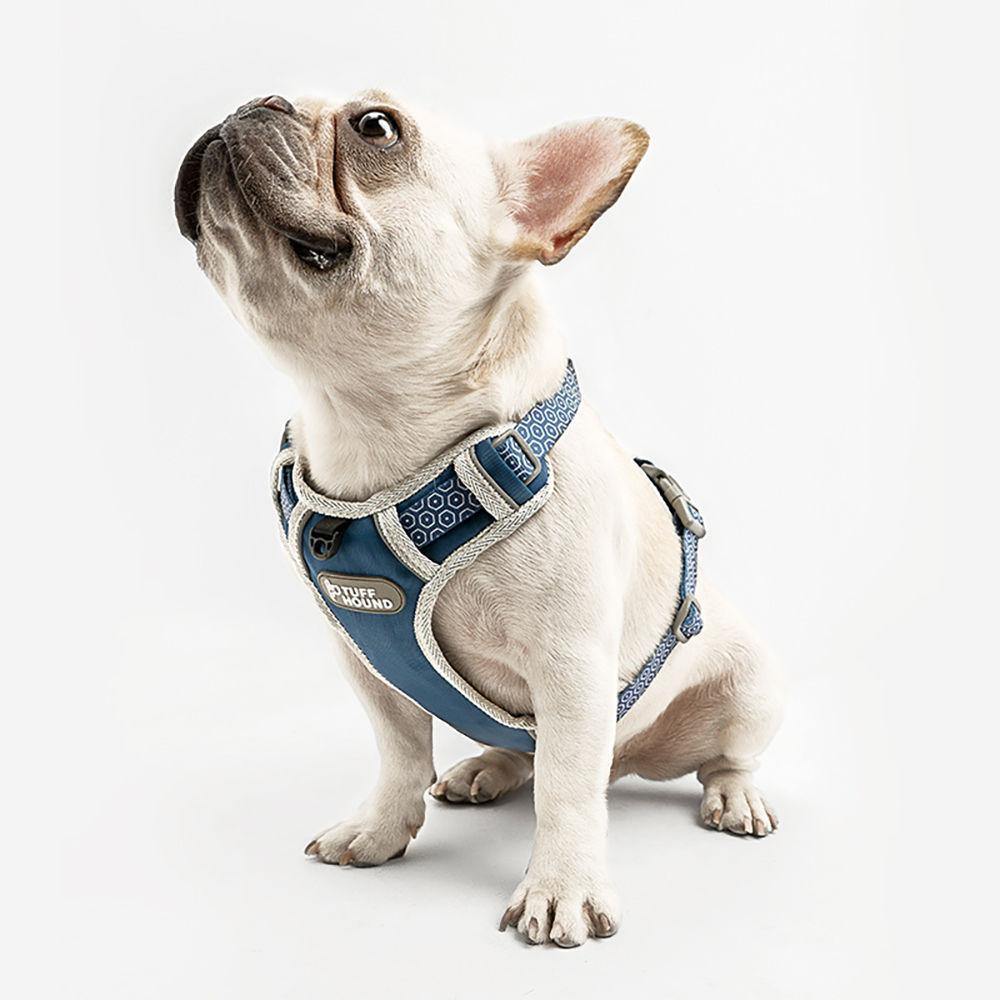 Pet Harness Blue - soufeelus