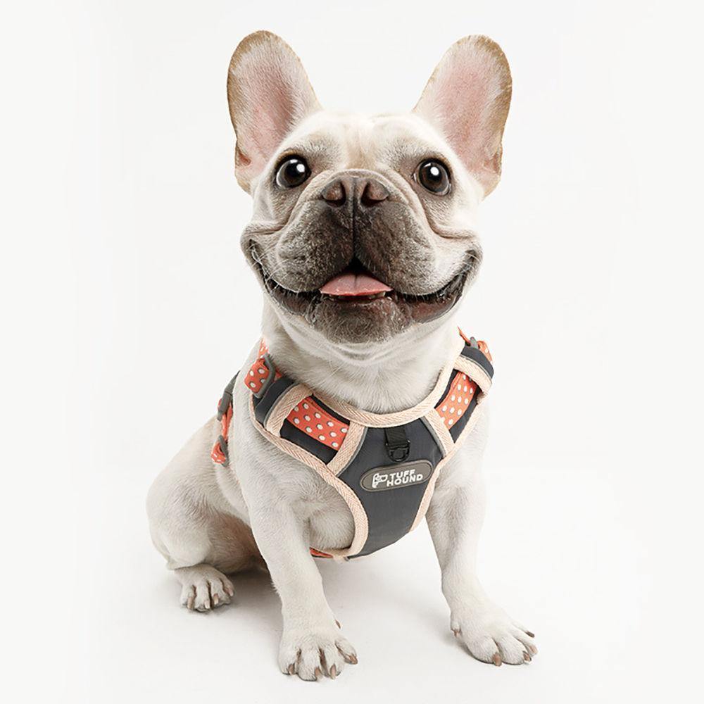 Pet Harness Orange - soufeelus