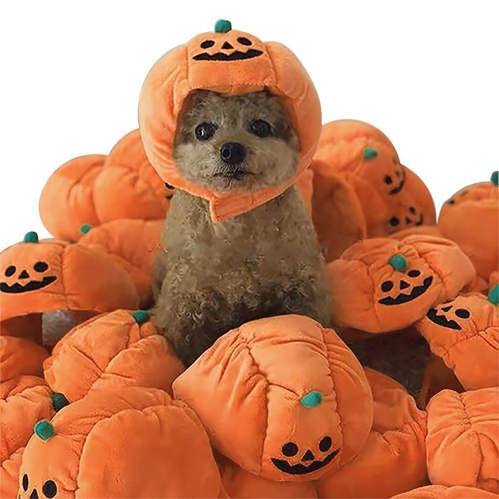 Pet Pumpkin Hat Gift for Pet Lover - soufeelus