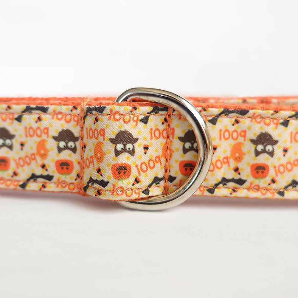 Happy Pumpkins Dog Leash XL Size - soufeelus