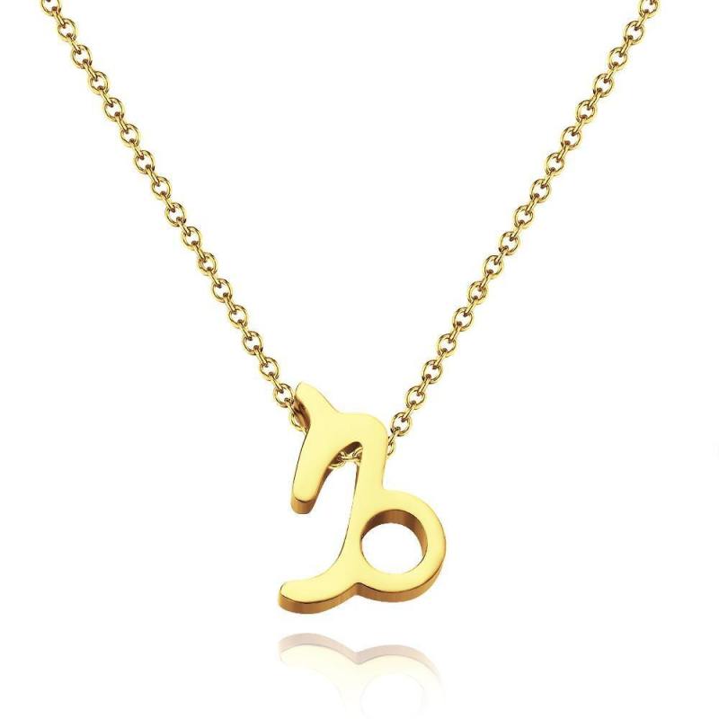 Twelve Constellation Necklace-Capricorn-Anti-oxidation Stainless Steel
