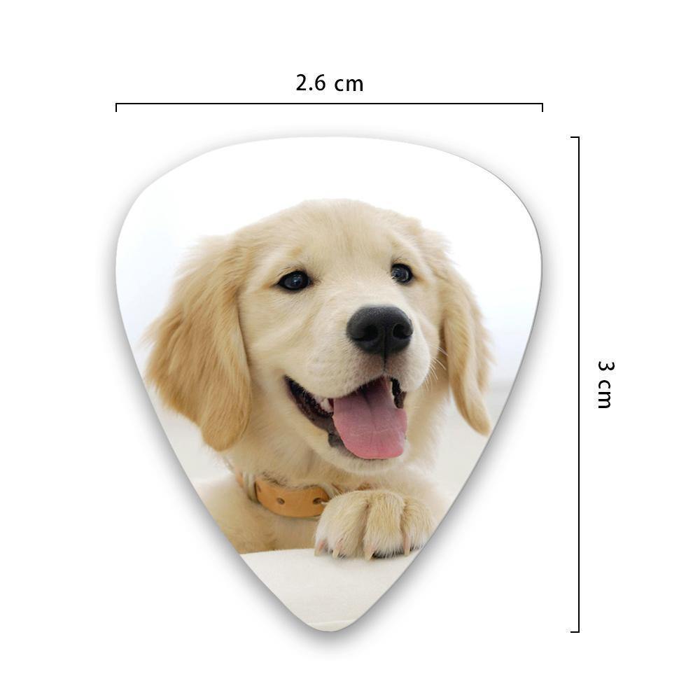 Personalized Guitar Pick with Photo For Pet -12Pcs - soufeelus