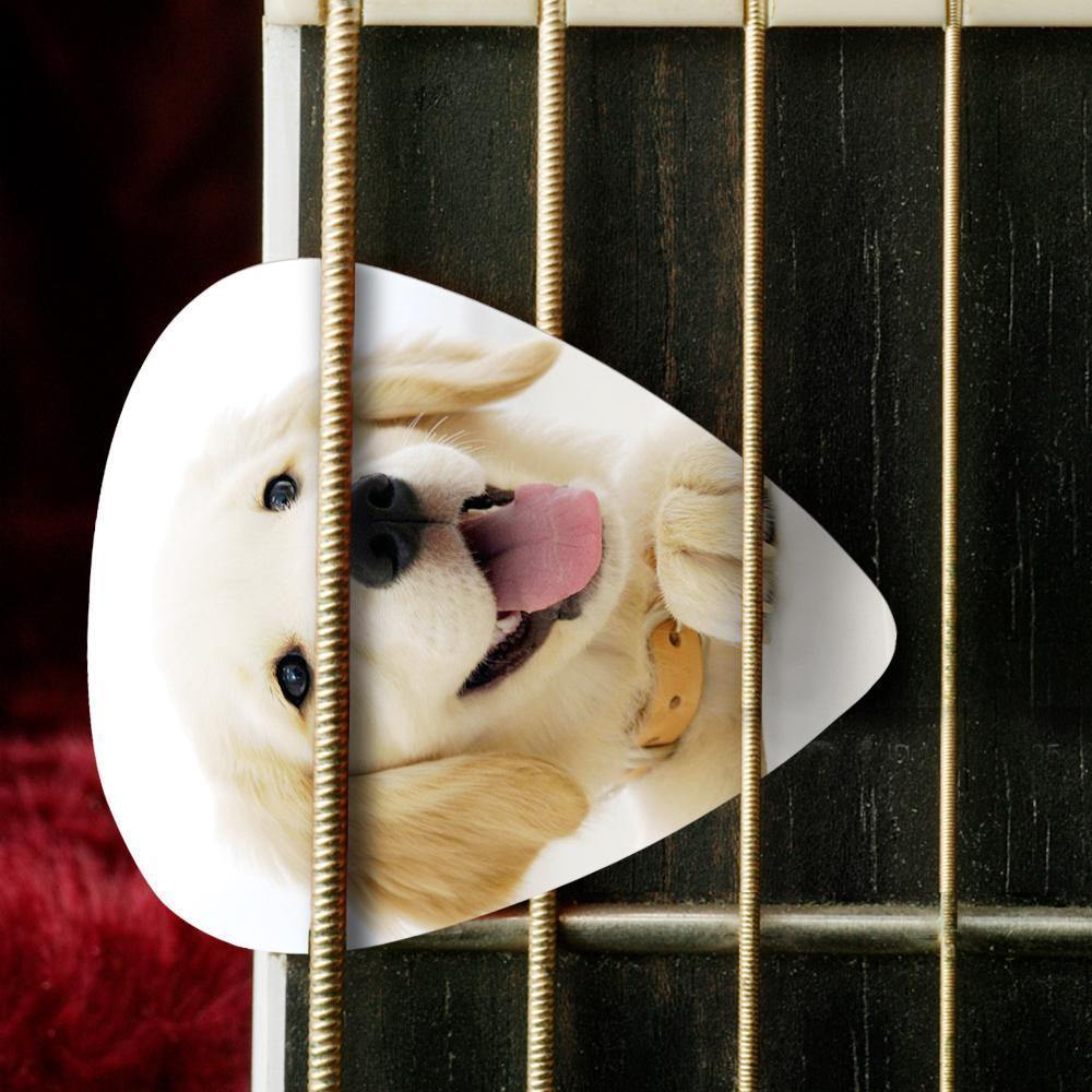 Personalized Guitar Pick with Photo For Pet -12Pcs - soufeelus