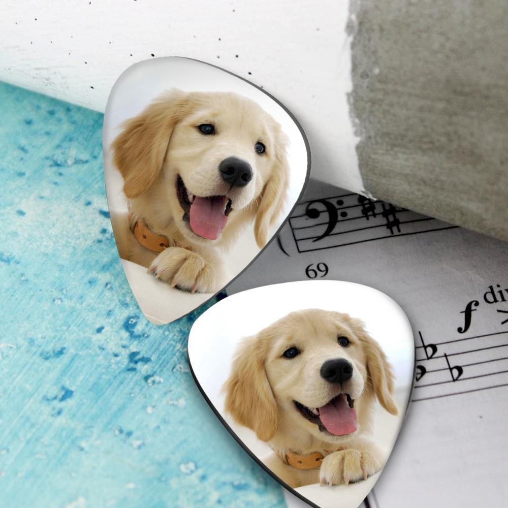 Personalized Guitar Pick with Photo For Pet -12Pcs - soufeelus