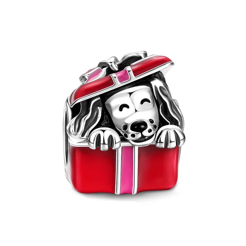 Dog in Gift Box Charm Silver - soufeelus