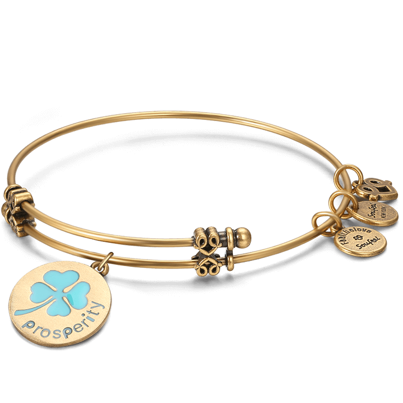 Prosperity Charm Bangle Gold Plated - soufeelus