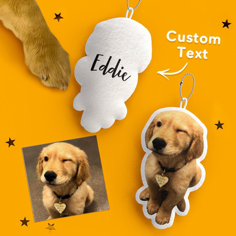 Custom MINIME Pet Pillow Keychain Name and Photo Keychains Gifts For Pet Lovers - soufeelus