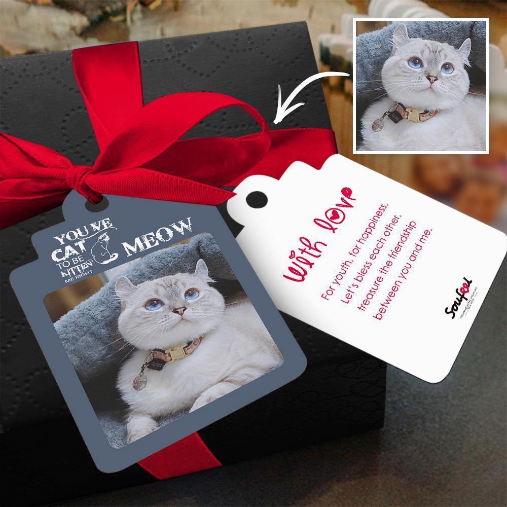 Photo Card Gift Card Memorial Gifts Greeting Card Congratulations Card Lovely Cat - soufeelus