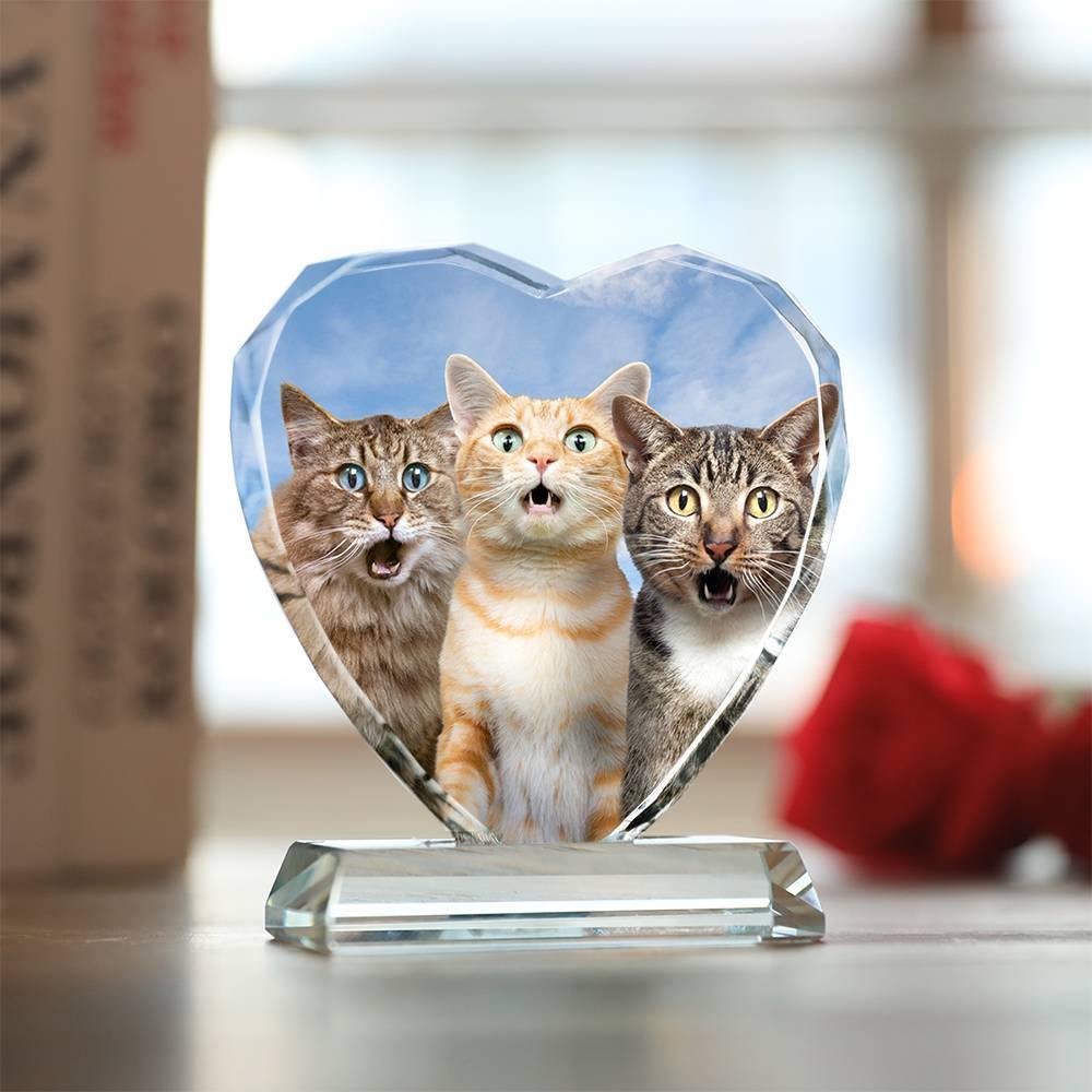 Custom Crystal Photo Frame Heart Shape Illuminate Cute Pet - soufeelus