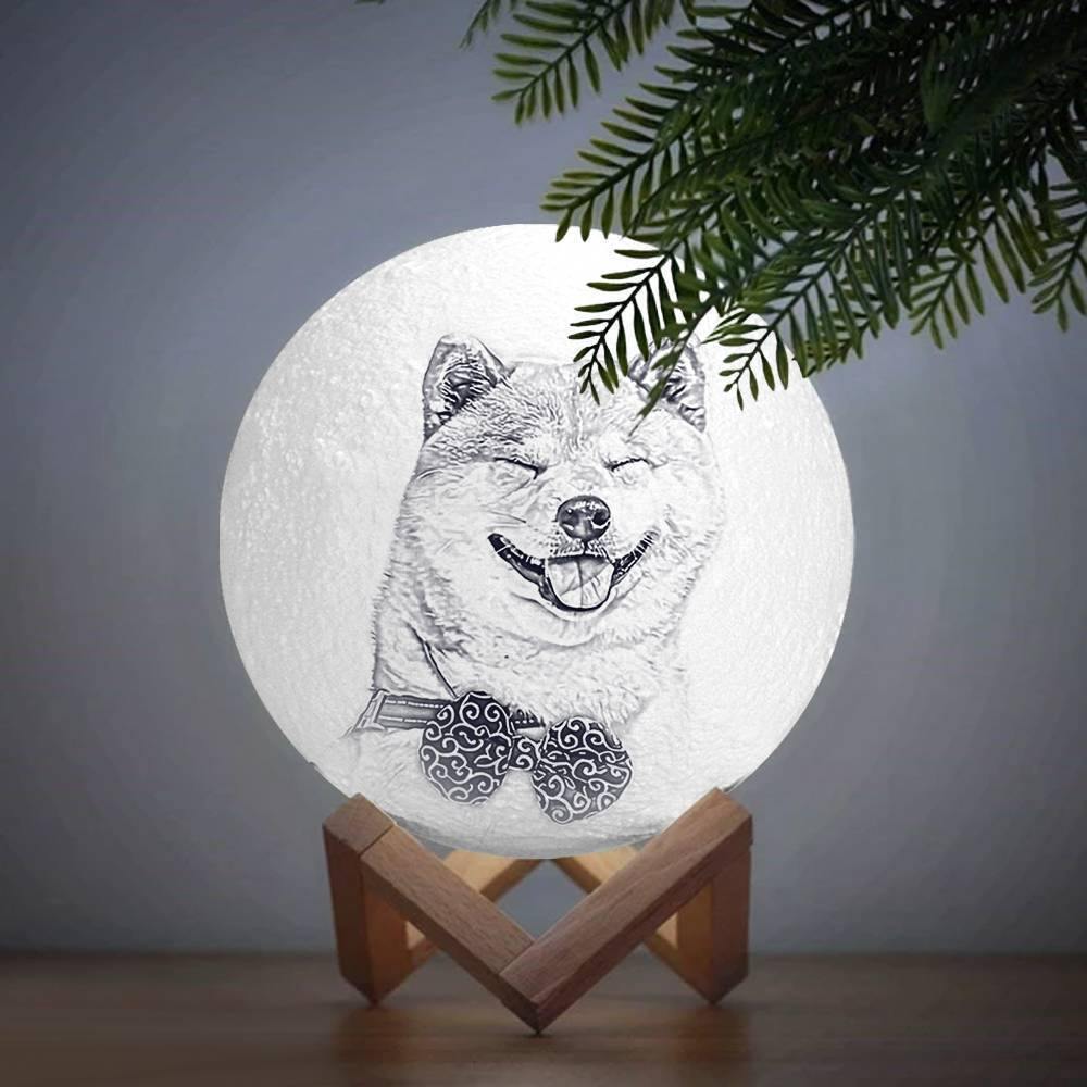 Photo Moon Lamp, Custom 3D Photo Light, Cute Pet - Touch Two Colors(10-20cm) - soufeelus