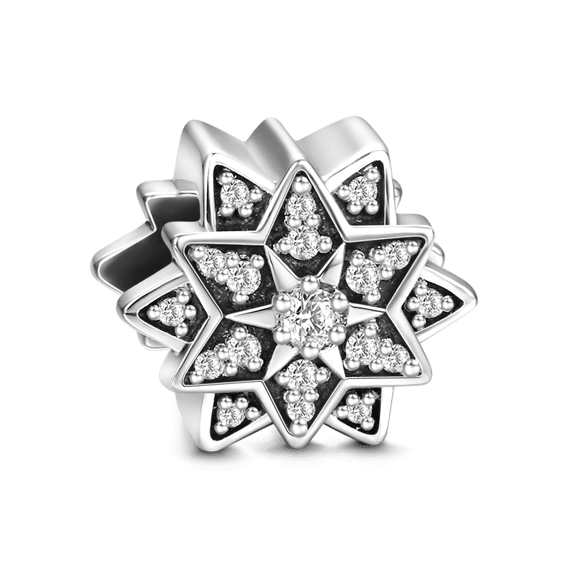 Snowflake Silver Charm with CZ - soufeelus