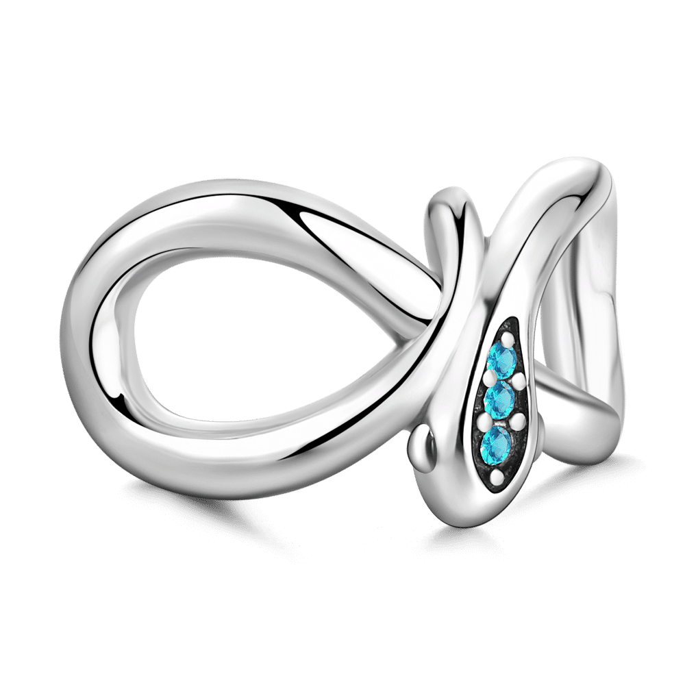 Infinity Snake Charm Silver - soufeelus