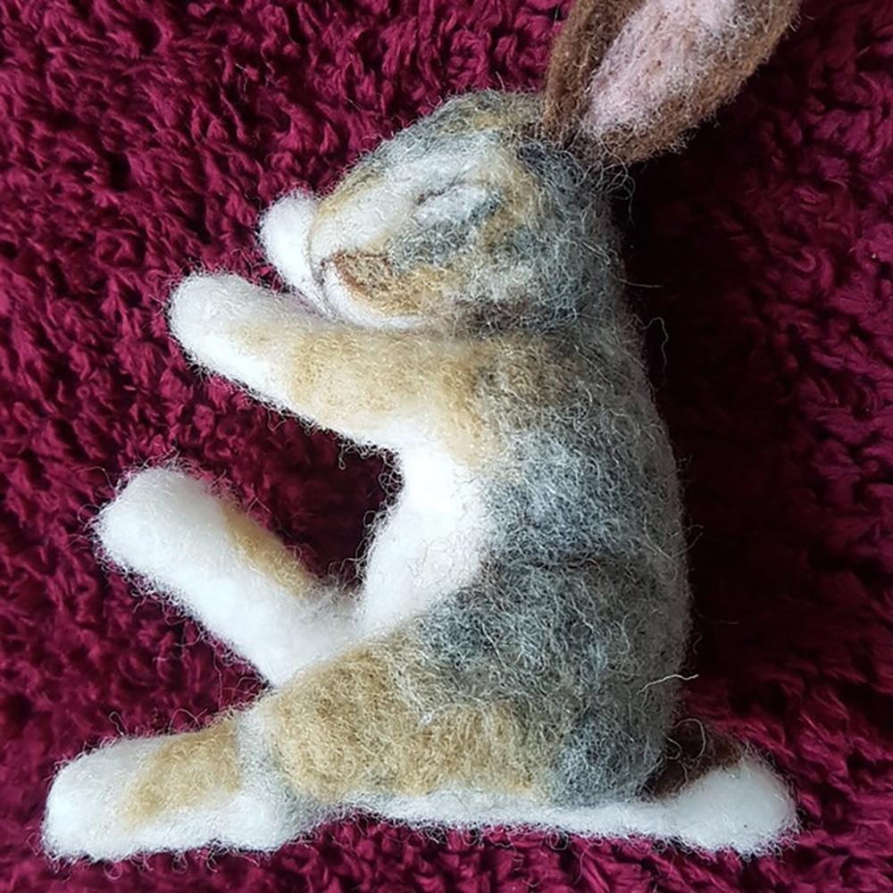 Custom Needle Felted Hare, Personalized Rabbit Gift, Finished Product with Free Gift Box - soufeelus